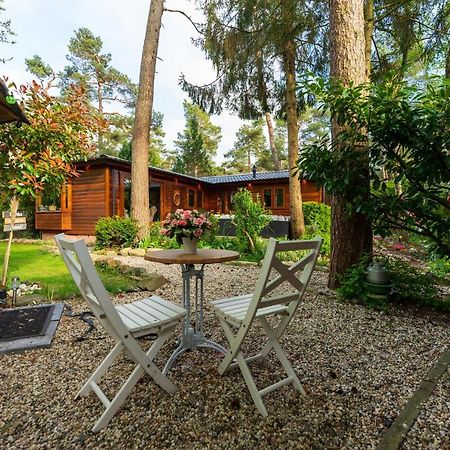 Chalet Heppie People Doornspijk エクステリア 写真
