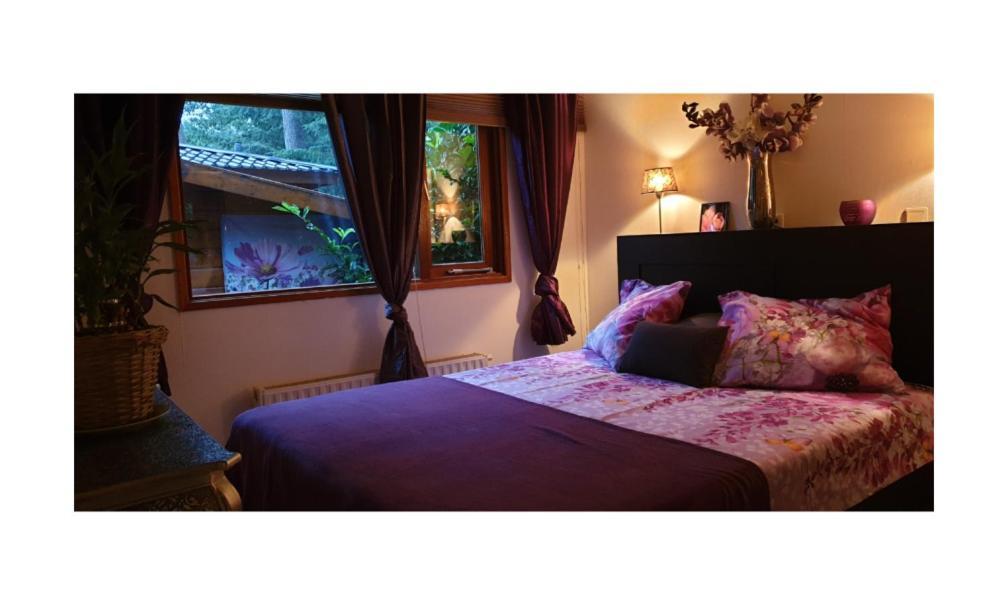 Chalet Heppie People Doornspijk エクステリア 写真